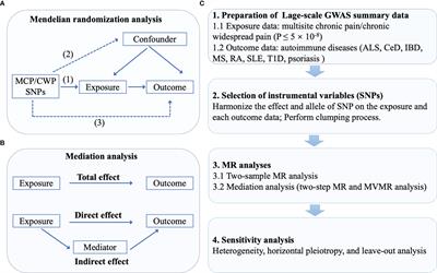 Multisite chronic pain and the risk of autoimmune diseases: A Mendelian randomization study